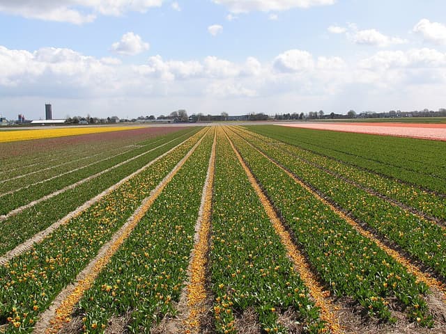 Landschaft und Orte in Niederlande