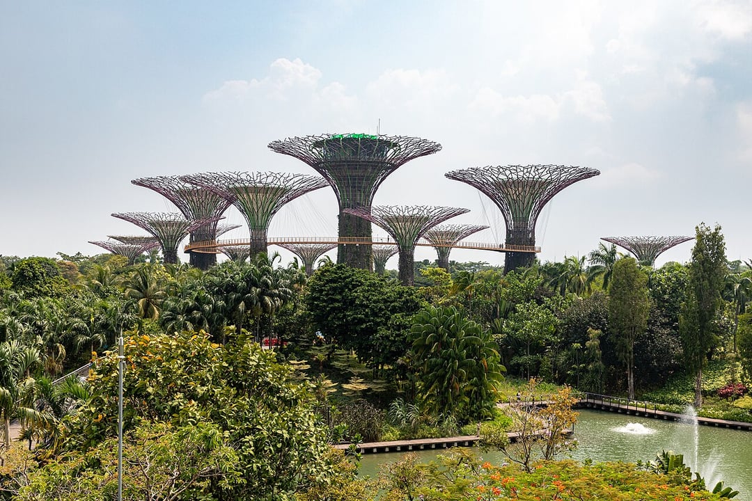 Singapore (SG), Gardens by the Bay, Supertree Grove, singapur