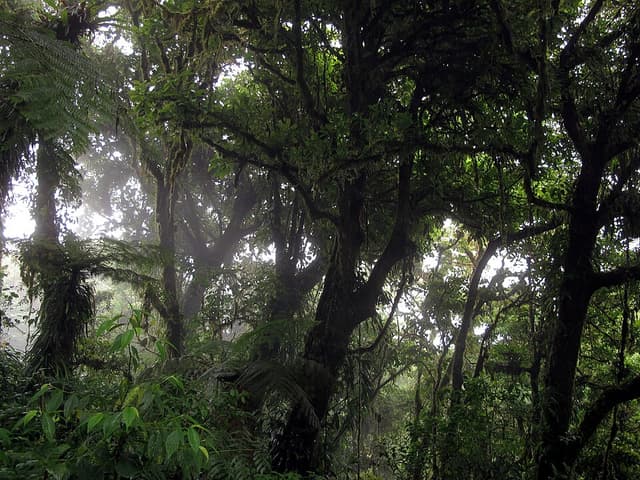 Landschaft und Orte in Costa Rica