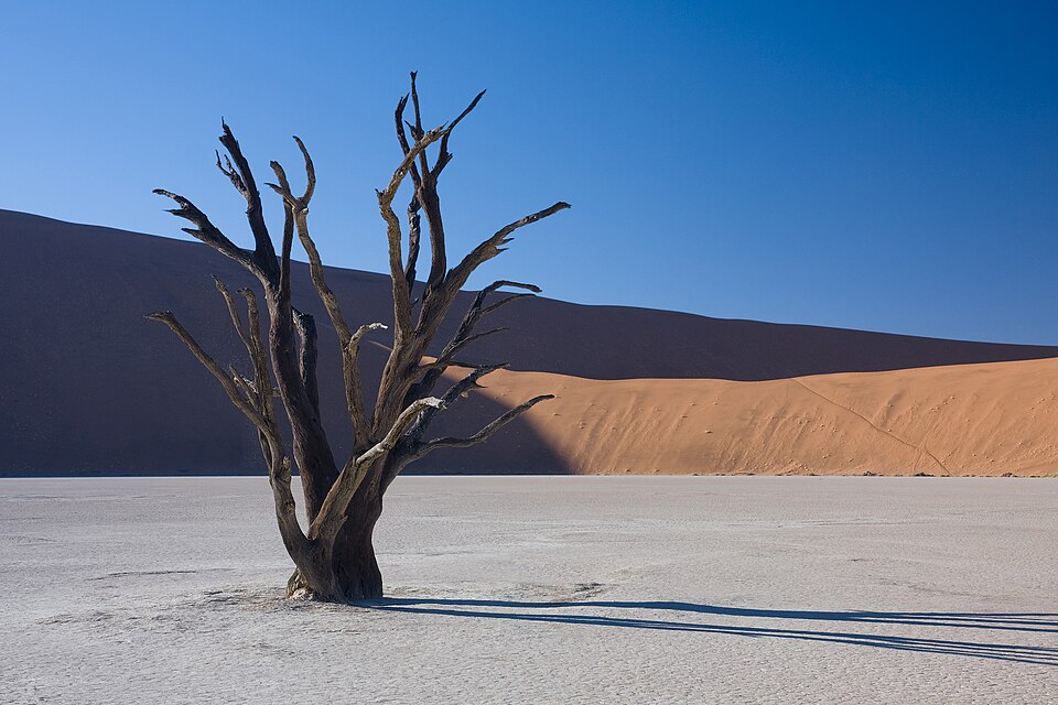 Dead Vlei 5, Namibia