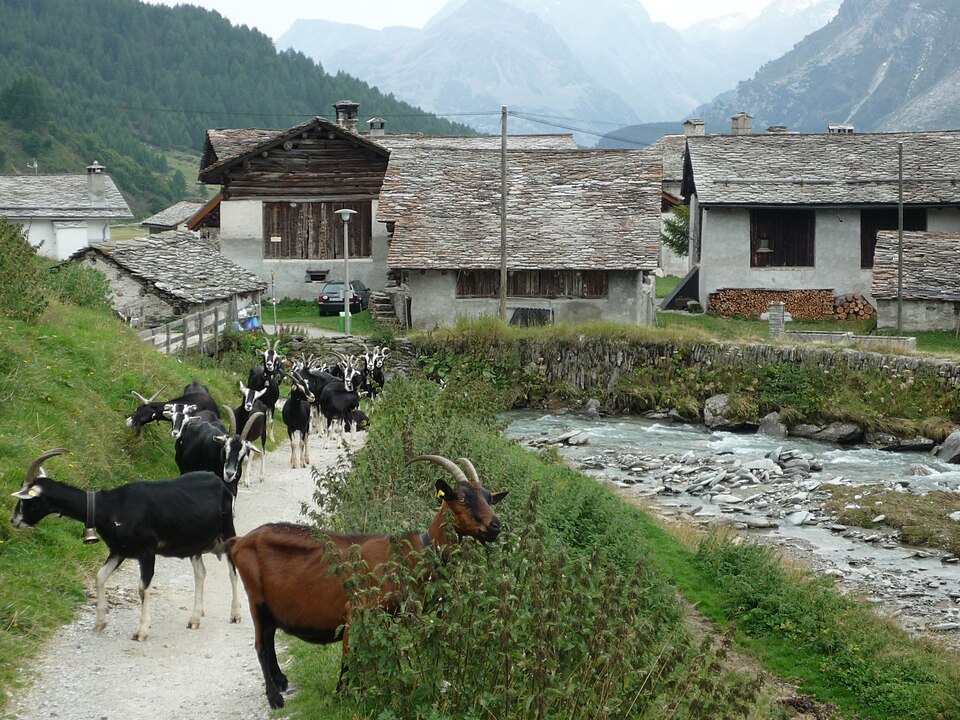 Isola, Engadine, Switzerland, Schweiz